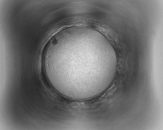 X0000093500194200711021016