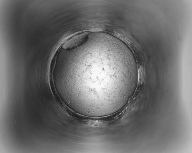 X0000093500195200711021016