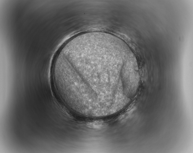 X0000093500196200711021016