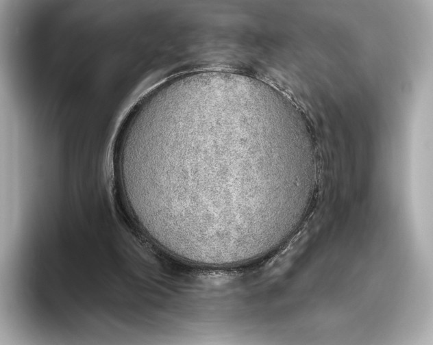 X0000093500198200711021016