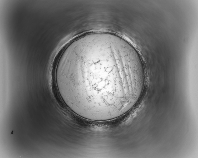 X0000093500199200711021016