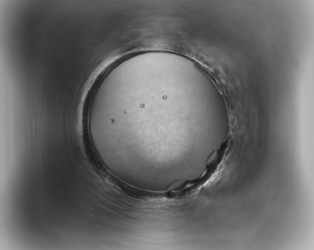X0000093500200200711021016