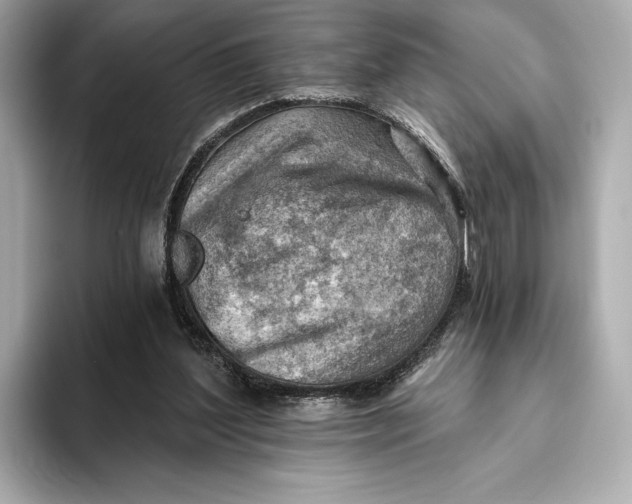 X0000093500204200711021016