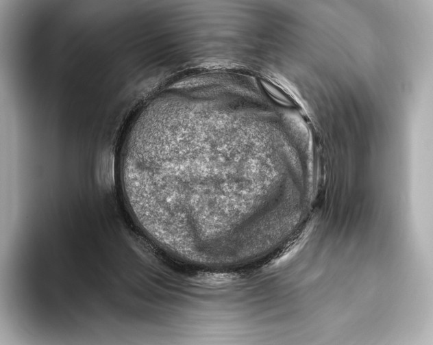 X0000093500205200711021016