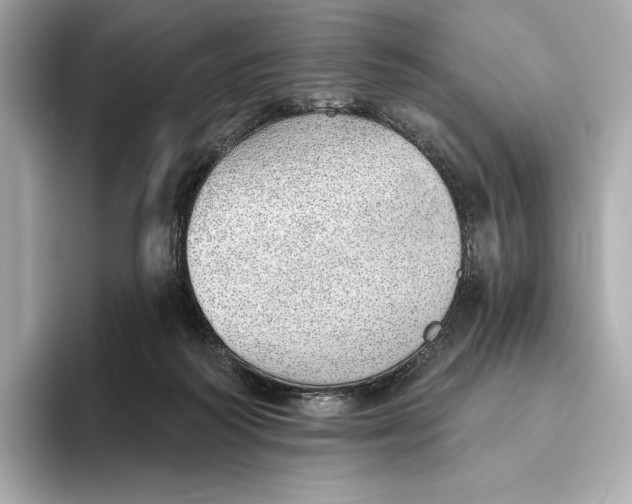 X0000093500218200711021015