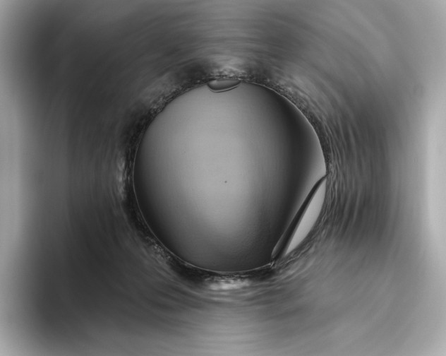 X0000093500223200711021015