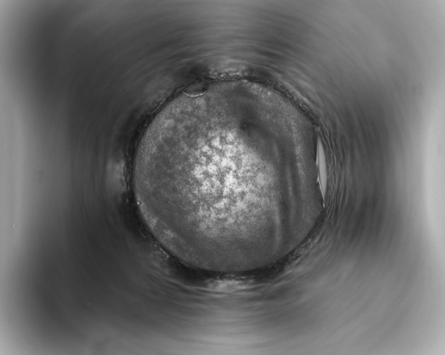 X0000093500224200711021015