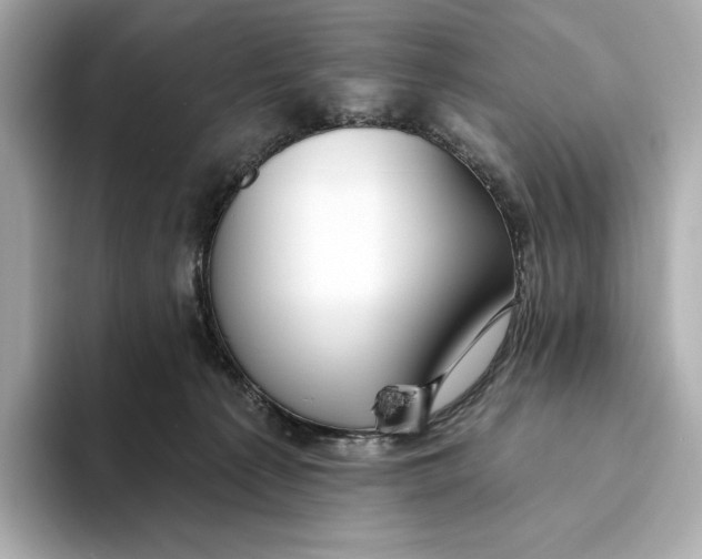 X0000093500225200711021015