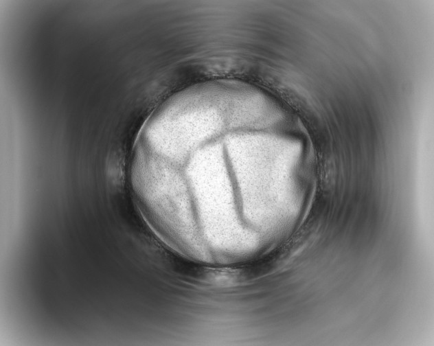 X0000093500226200711021015
