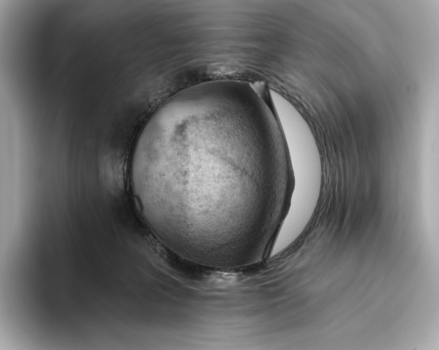 X0000093500227200711021015