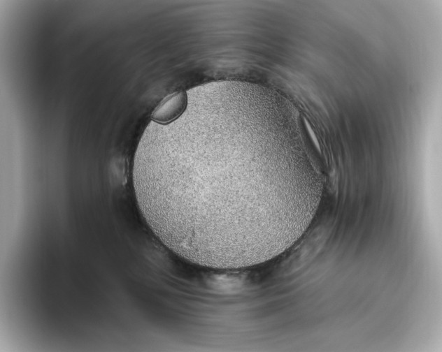 X0000093500232200711021015