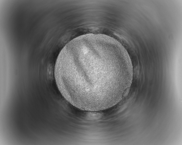 X0000093500234200711021015