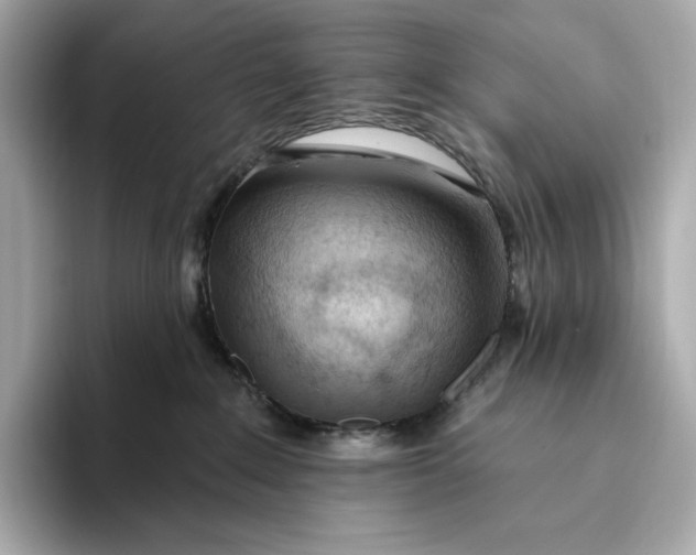 X0000093500235200711021015