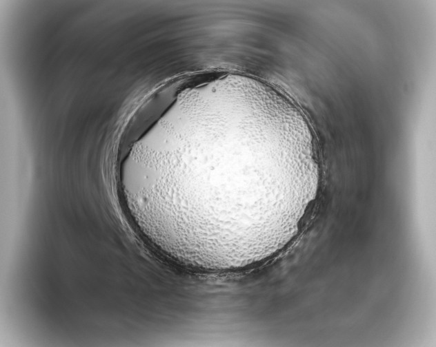X0000093500241200711021015