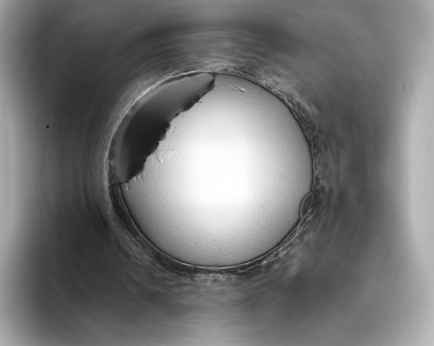 X0000093500242200711021015