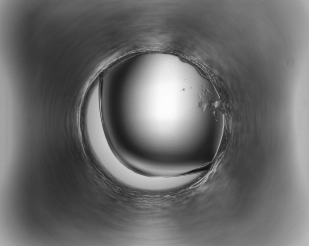 X0000093500244200711021015