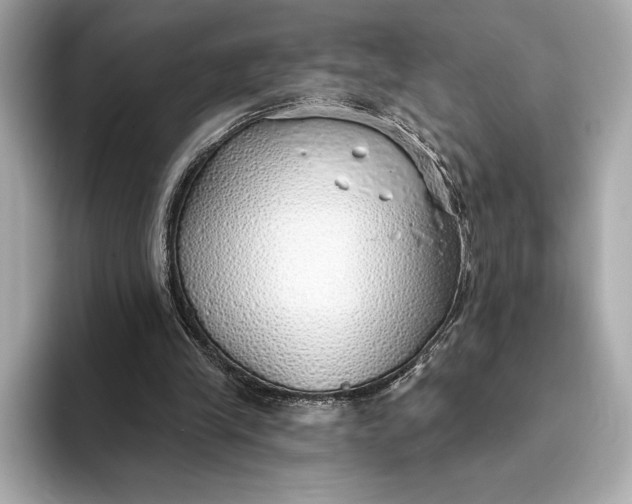 X0000093500245200711021015