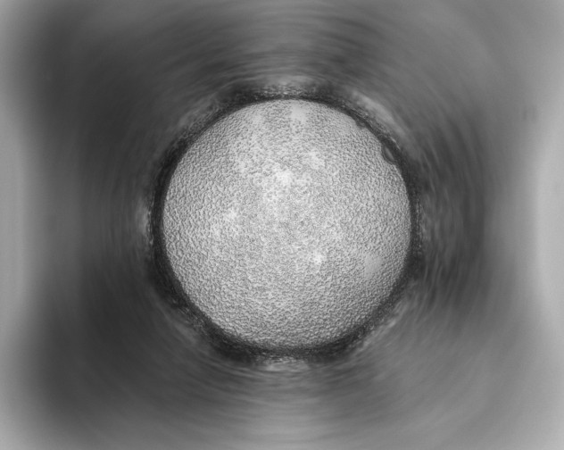 X0000093500258200711021015