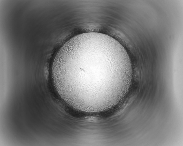 X0000093500259200711021015