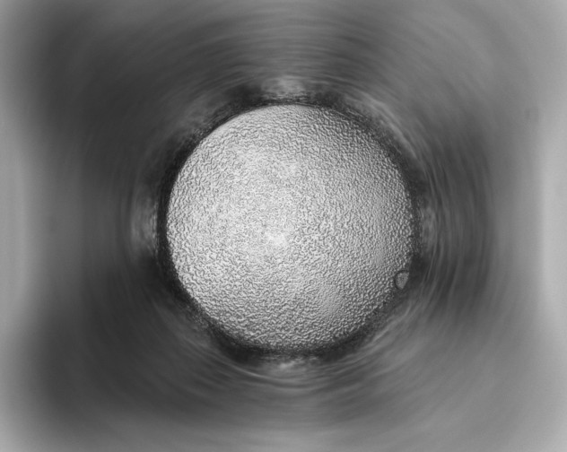 X0000093500267200711021015