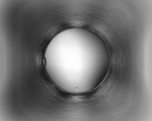 X0000093500268200711021015