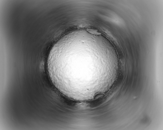 X0000093500269200711021015