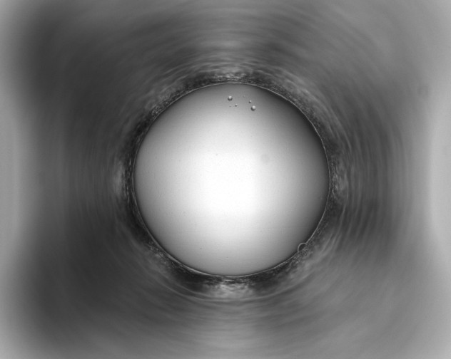X0000093500270200711021015