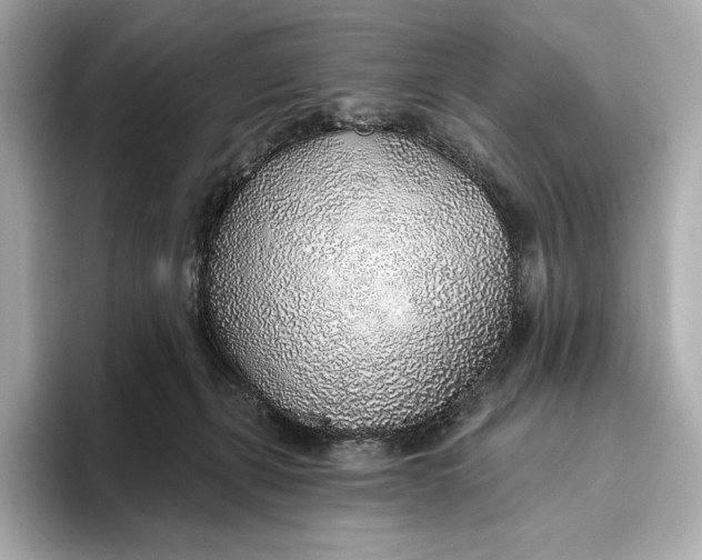 X0000093500271200711021015