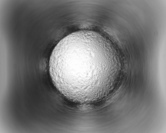 X0000093500273200711021015