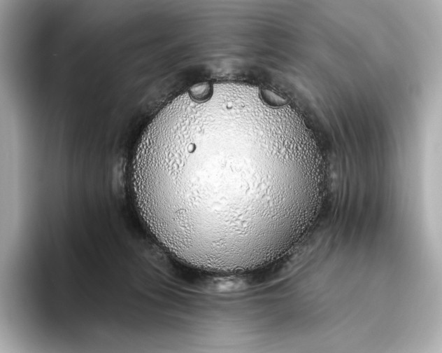 X0000093500275200711021015