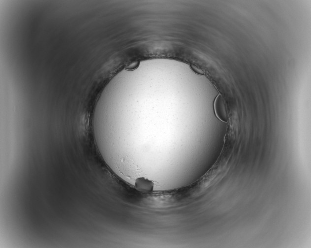 X0000093500278200711021015
