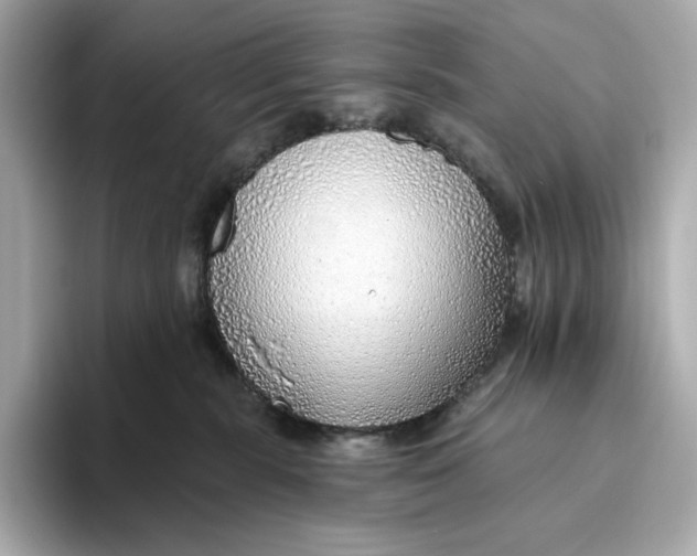 X0000093500283200711021015