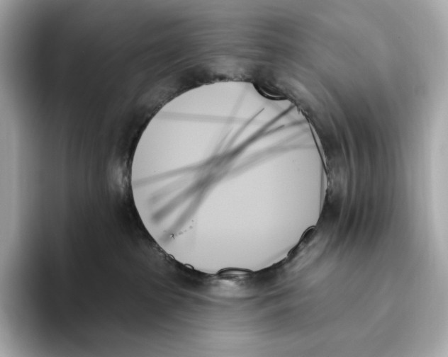 X0000093500285200711021015