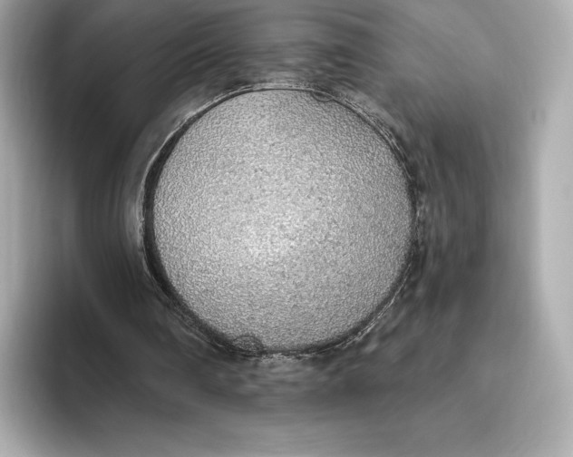 X0000093500290200711021015