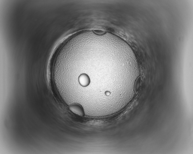 X0000093500294200711021015