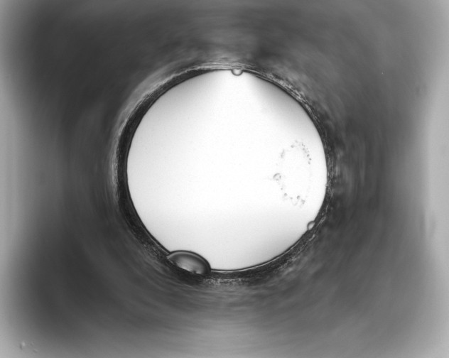 X0000093500296200711021015