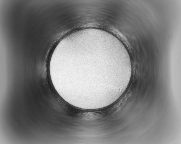 X0000093500298200711021014