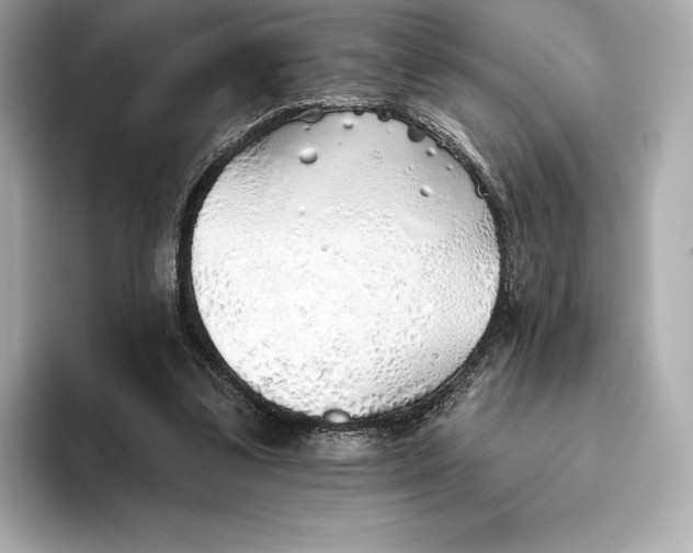 X0000093500299200711021014