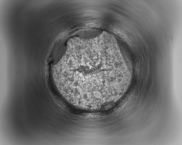 X0000093500303200711021014