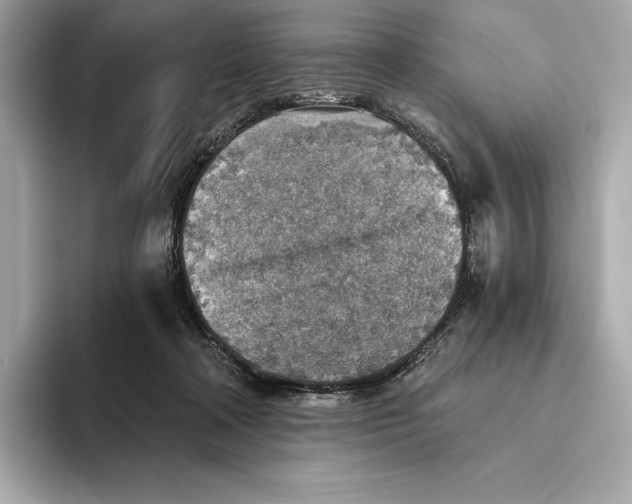 X0000093500314200711021014