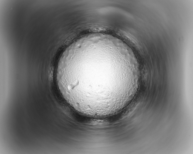 X0000093500315200711021014
