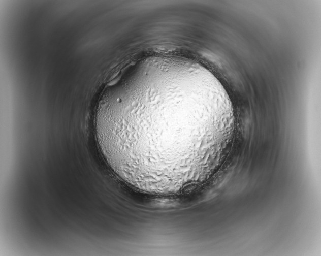 X0000093500319200711021014