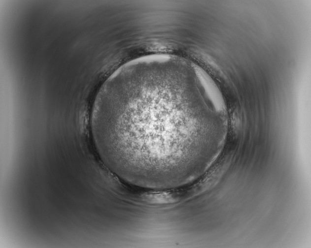 X0000093500322200711021014