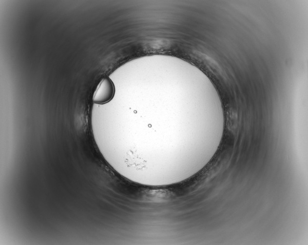 X0000093500324200711021014