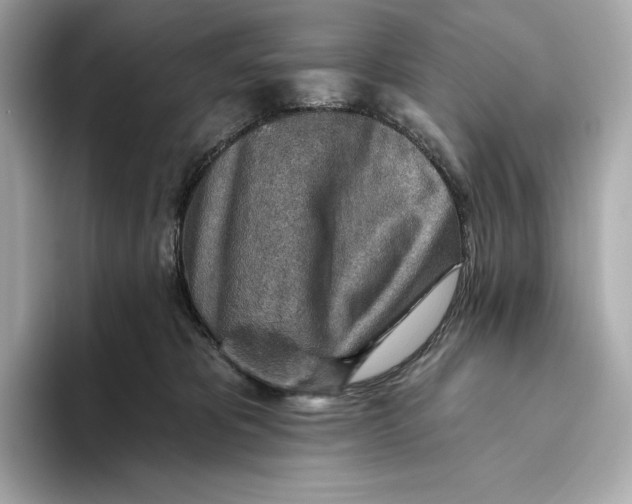 X0000093500325200711021014