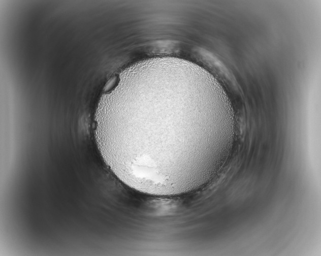 X0000093500326200711021014