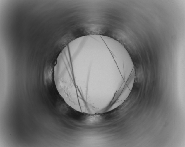 X0000093500334200711021014