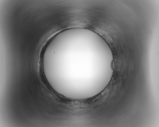 X0000093500338200711021013