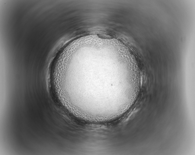 X0000093500339200711021014