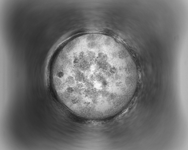 X0000093500343200711021014